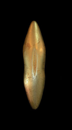 Fertility